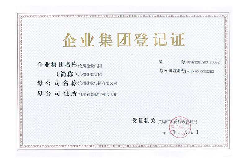 企業(yè)集團(tuán)登記證